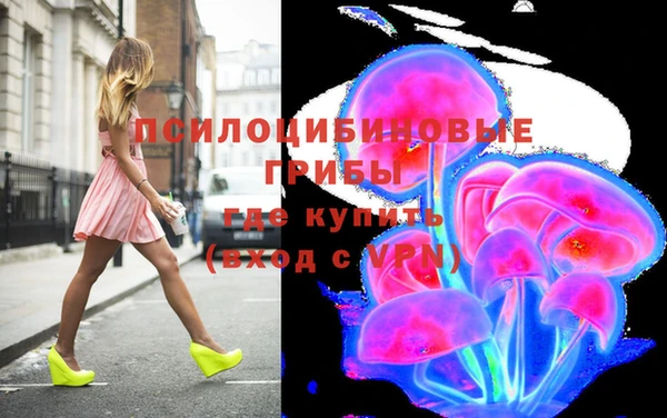 дмт Алзамай