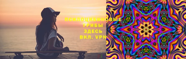 дмт Алзамай