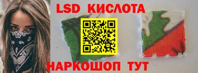 СК Новодвинск