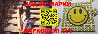 СК Новодвинск