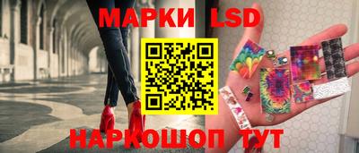 СК Новодвинск