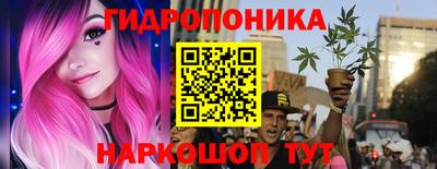 СК Новодвинск