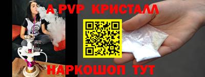 СК Новодвинск