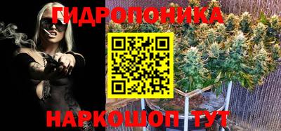 винт Новокубанск