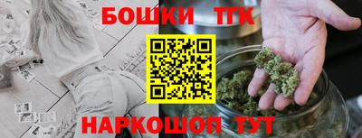 СК Новодвинск