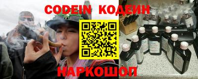 СК Новодвинск