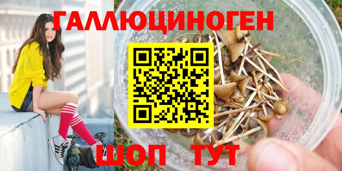 Татарск  Галлюциногенные грибы ЛСД  Вход с VPN 